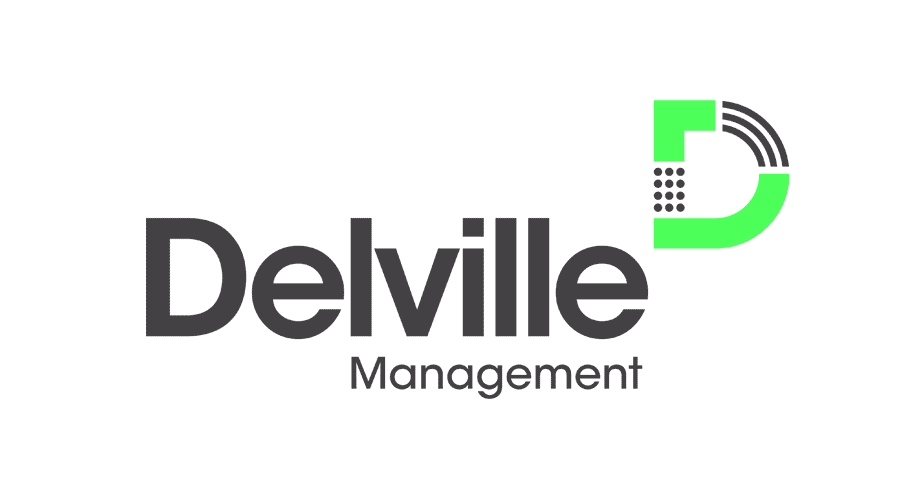 logo delville management